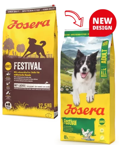 Josera Festival - сухий корм із лососем для дорослих вибагливих собак