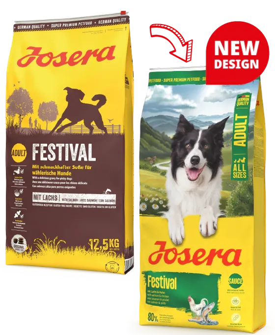 Josera Festival - сухий корм із лососем для дорослих вибагливих собак