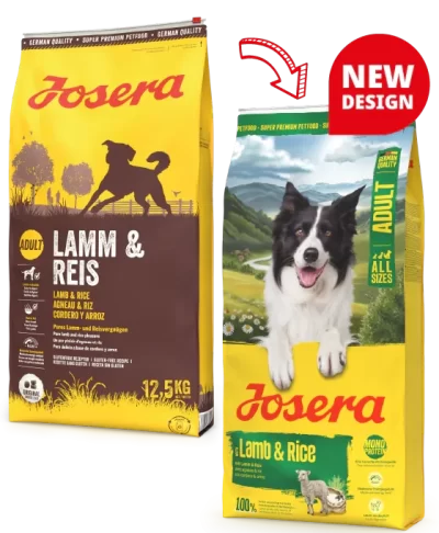 Josera Lamb & Rice - сухий корм з ягням і рисом для собак середніх та великих порід з проблемами травлення