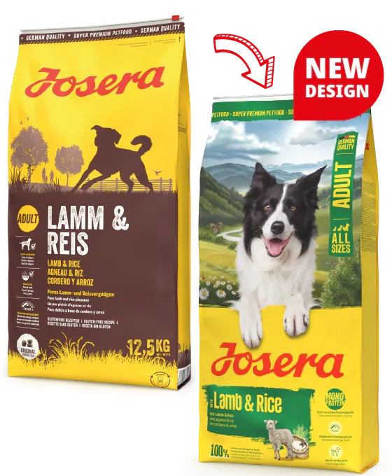 Josera Lamb & Rice - сухий корм з ягням і рисом для собак середніх та великих порід з проблемами травлення