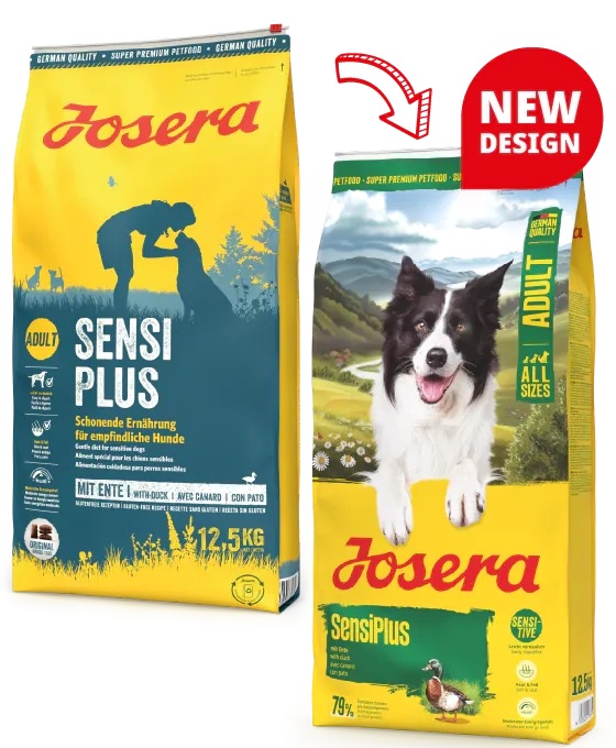 Josera SensiPlus - сухий корм для дорослих собак з чутливим травленням